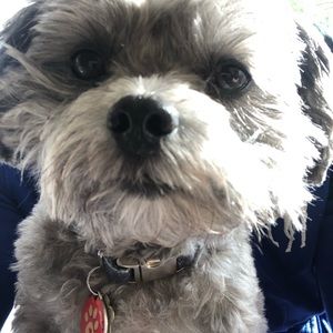 Meet your Posher, Marcus